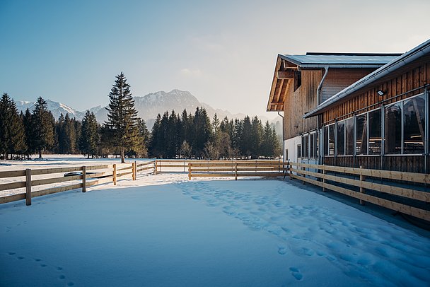 Der Laufhof im Schnee neben dem Stallgebäude