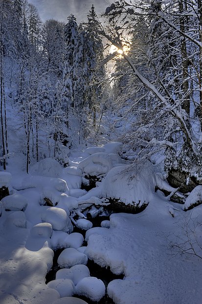 Verschneite Winterlandschaft