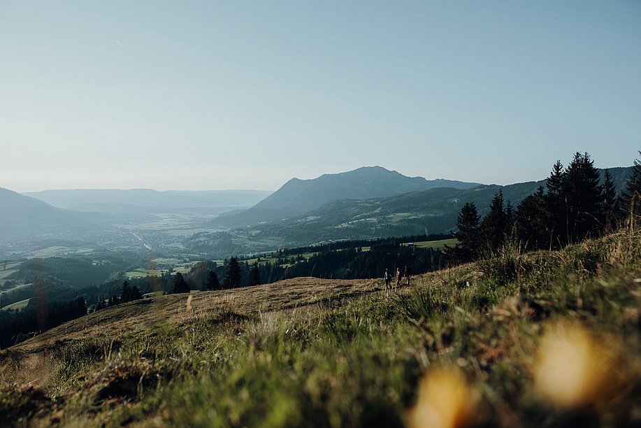 Mehr Freiraum im Allgäu