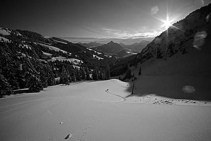 Skifahren durch den Tiefschnee