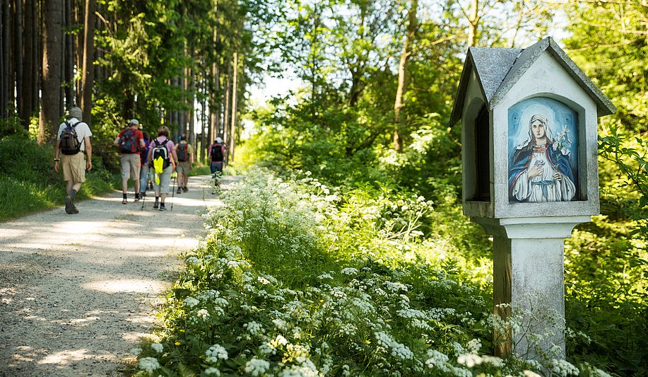 Waldweg mit Bildstock auf dem Crescentia-Pilgerweg