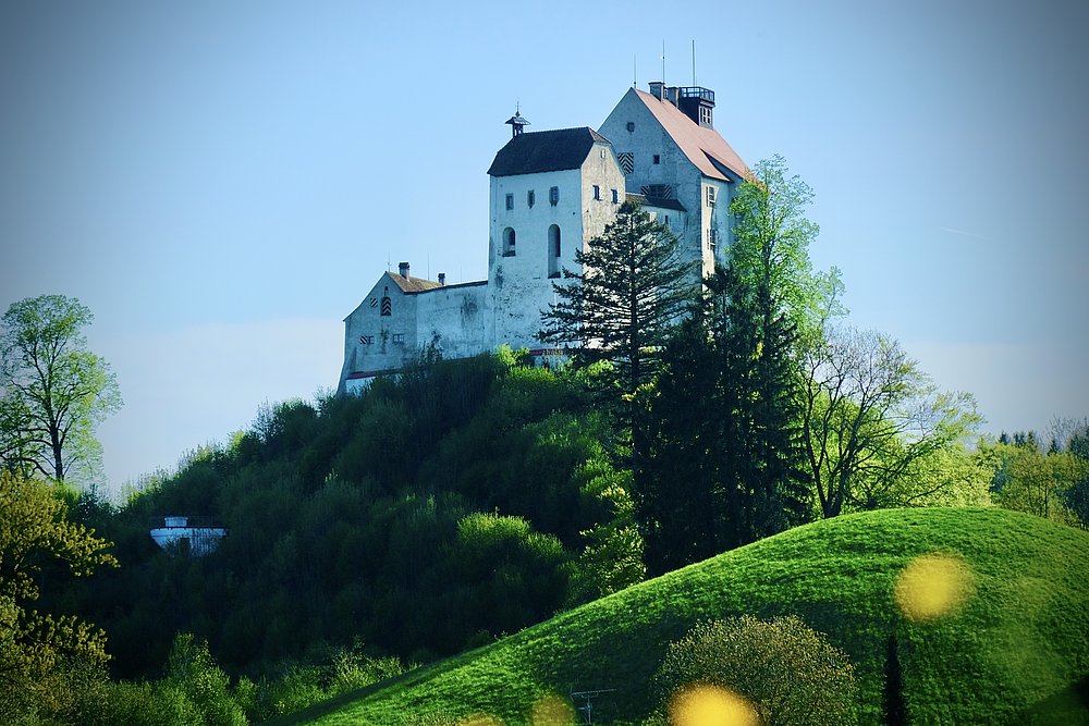 Die Waldburg auf einem grünen Hügel