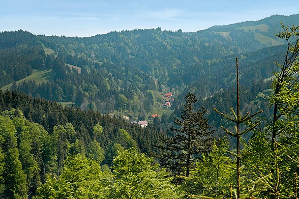 Blick ins Kreuzbachtal