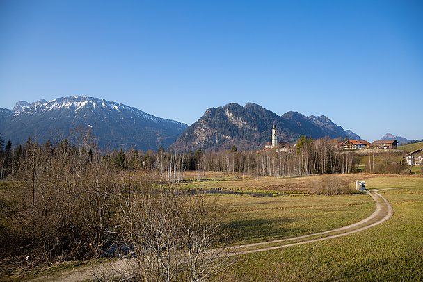 Blick auf den Breitenberg - Berger Moos