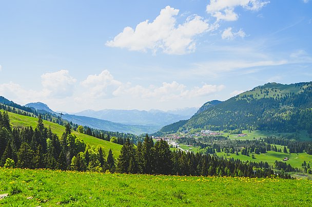 Bergpanorama im Allgäu im Sommer