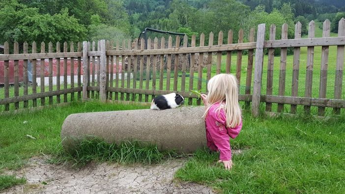 Unser Gästekind bei den Meerschweinchen