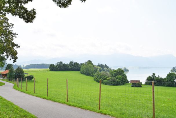 Forggensee-Runde beim Panoramastadel