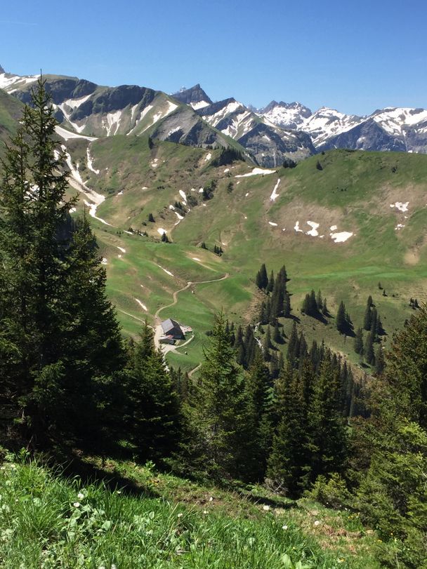 Blick auf die Usseralpe