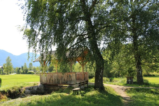 Wandern auf dem Moor- und Streuwiesenpfad