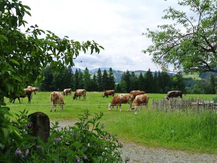 unserekheimblick