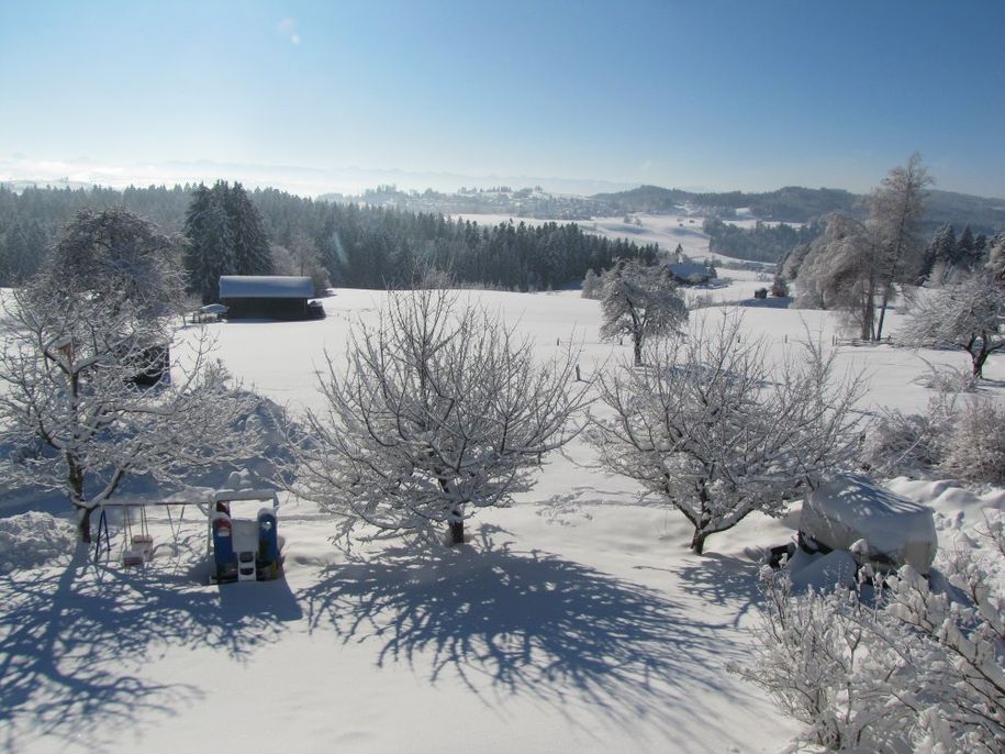 Blick vom Balkon