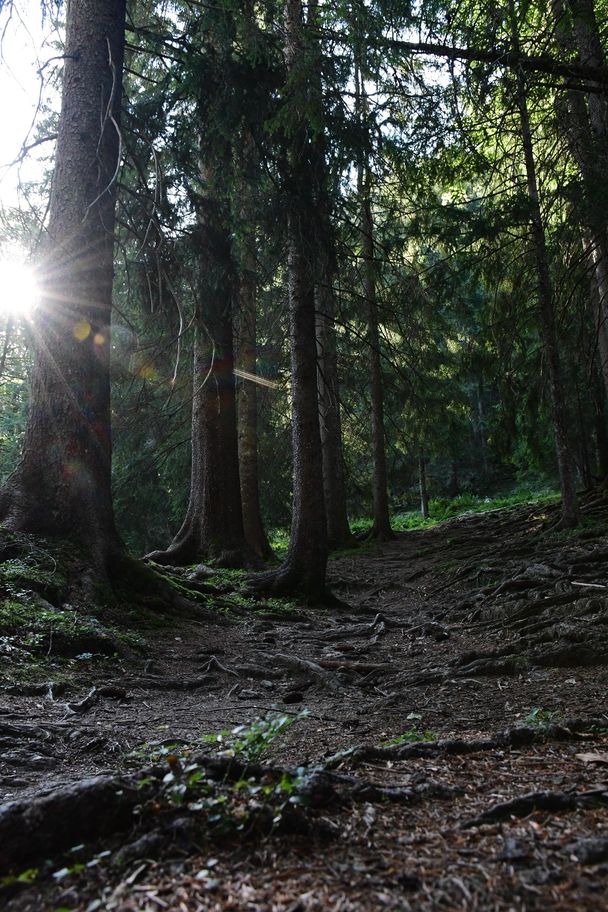 Wanderweg zum Wasserfall