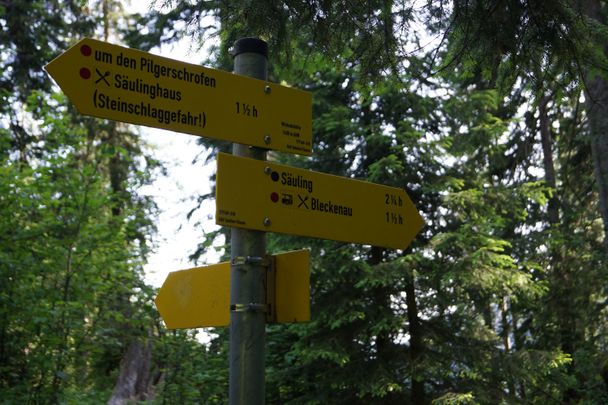 Säuling- und Pilgerschrofenrunde