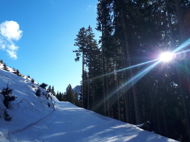 Winterwanderweg Krinnenalpe - Edenalpe