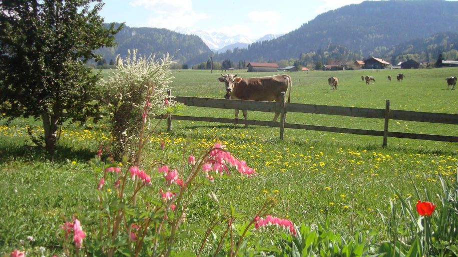 Frühling