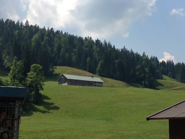 Höfle-Alpe in Balderschwang