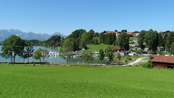 Seeufer - Rieden am Forggensee