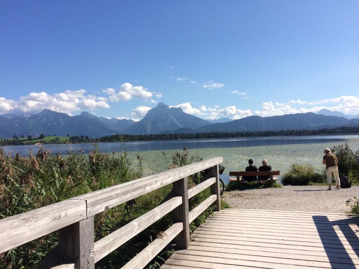 Blick auf Säuling und Tegelberg vom Rundweg aus