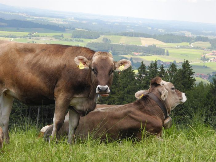 Hier lässt es sich gut leben