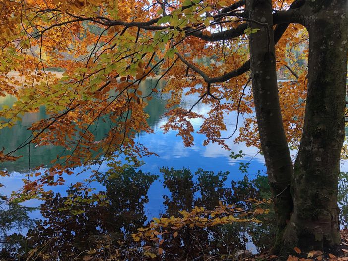 Wundervolle Herbststimmung am Alatsee