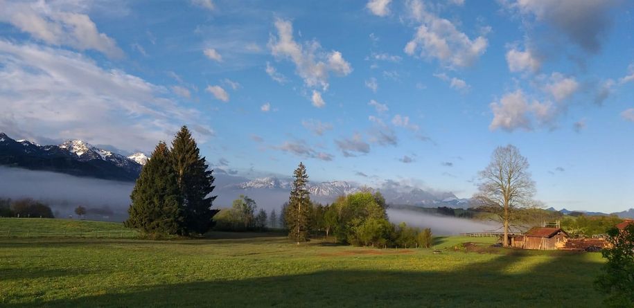 Ausblick Garten