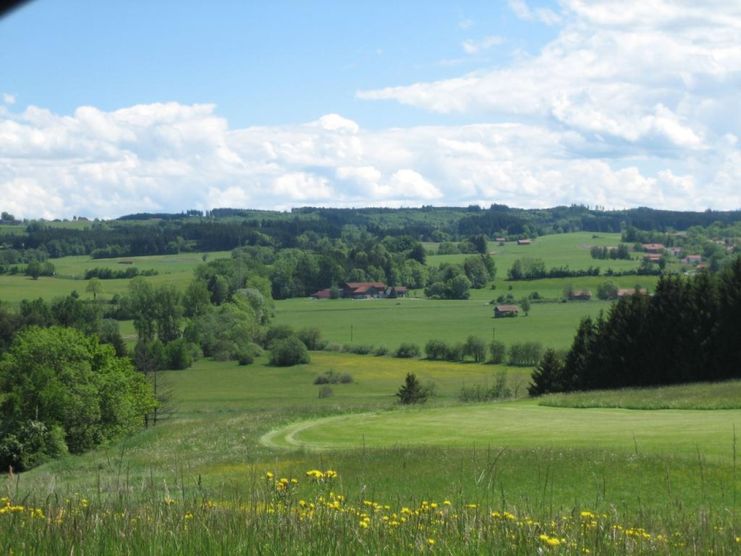 Das Wildpoldsrieder Moor