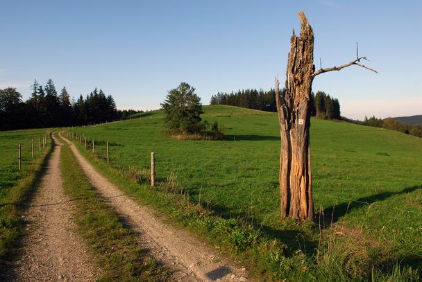 Höhenweg auf der Adelegg