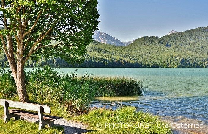 Sommer am Weißensee