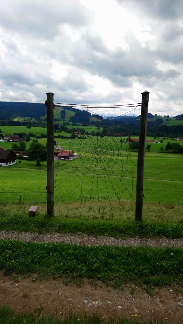 "Spinnennetz" von Siglinde Knestel