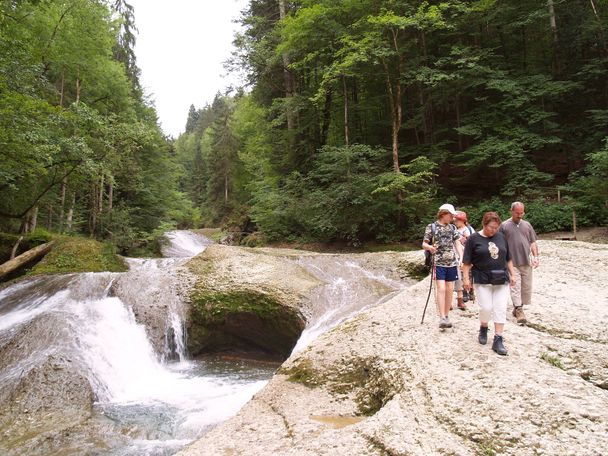 Stromschnelle im Eistobel