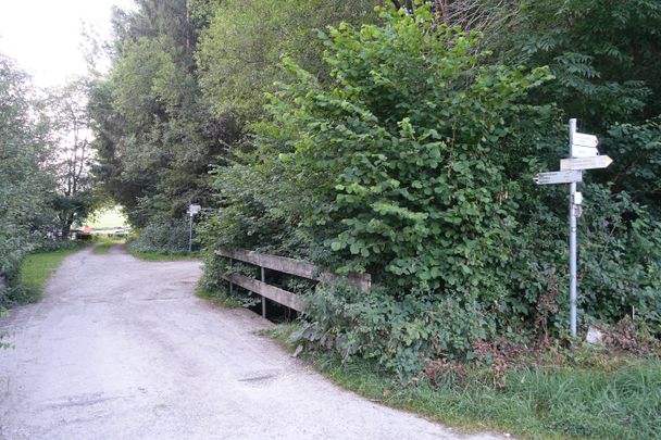 Zweiter Abzweig über der Brücke in Richtung Reichenbachklamm