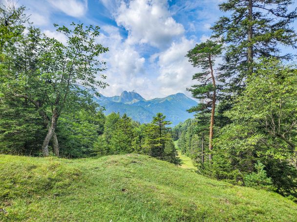 Wanderweg oberhalb der Saloberalm