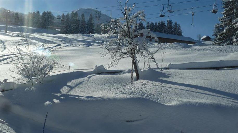 12Winter-Grüntenblick