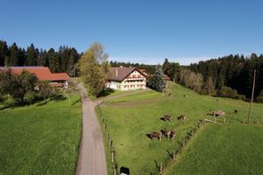 Unser Hof liegt einfach traumhaft. Fernab von Lärm und Strassenverkehr