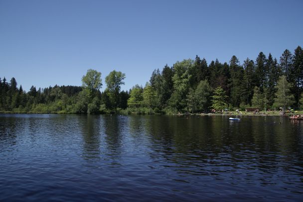 Waldsee Lindenberg