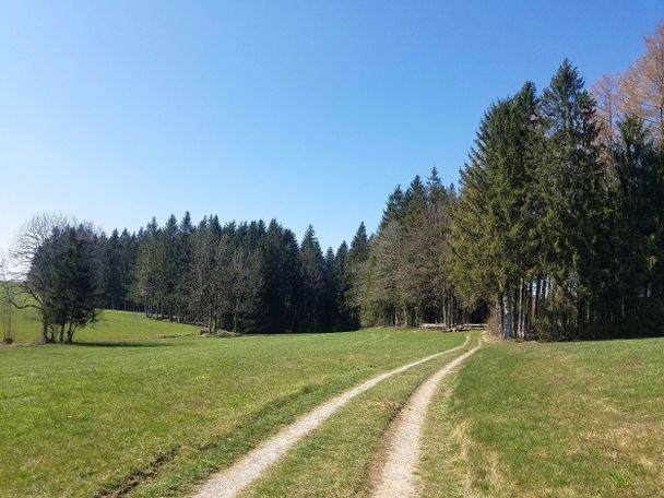 Herrlich grüne Wiesen und Wälder