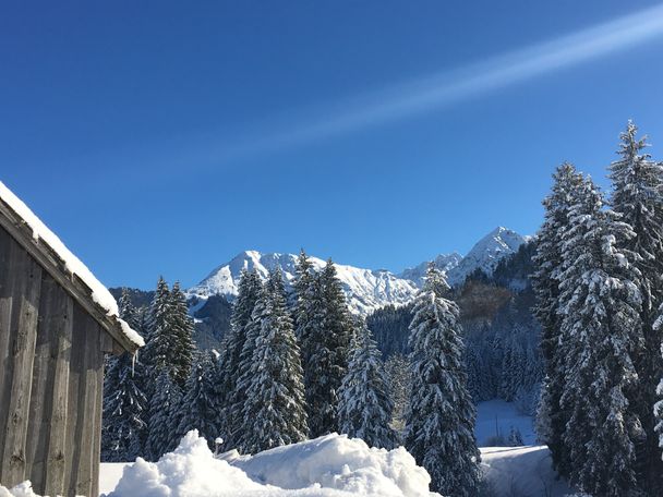 Blick auf das Rubihorn