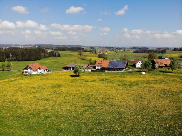 Frühling in Zeihers