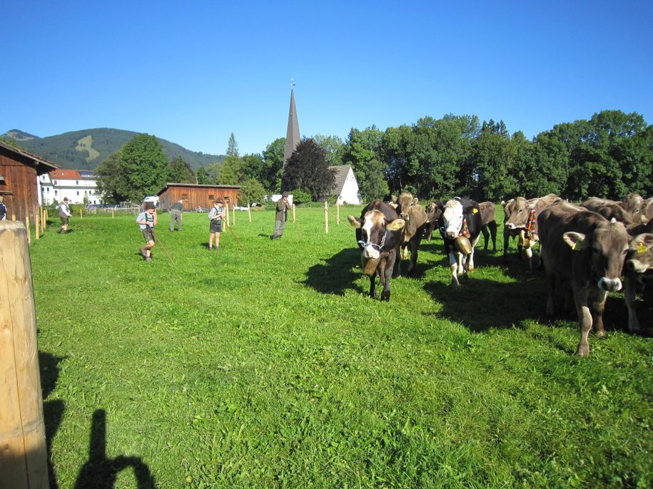 Bauernhof Höß (6)