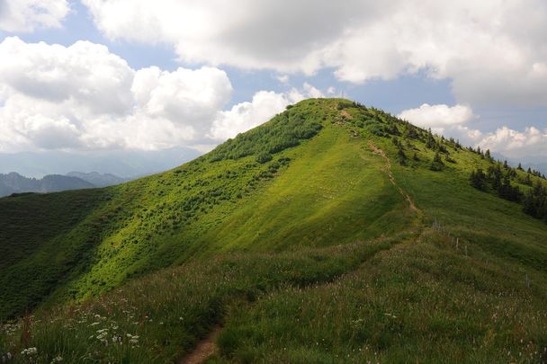 Von Grasgehren zum Riedberger Horn – Der höchste Flyschberg im Naturpark