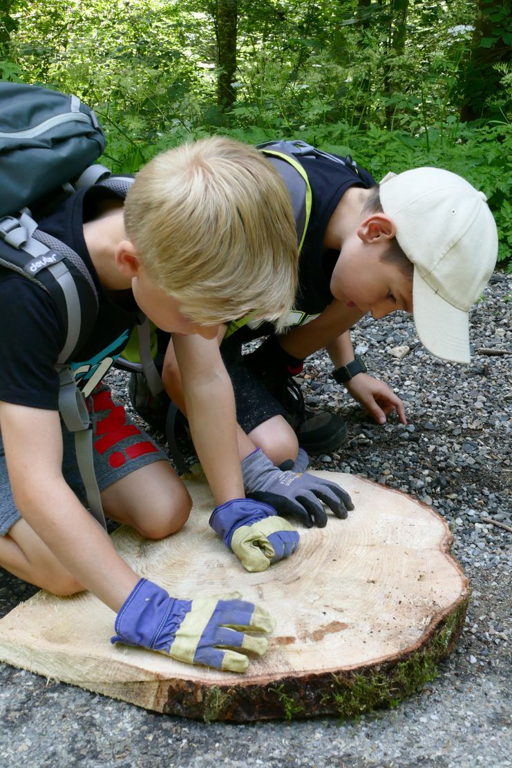 Experimente Wunderwelt Holz_Annika Leodolter