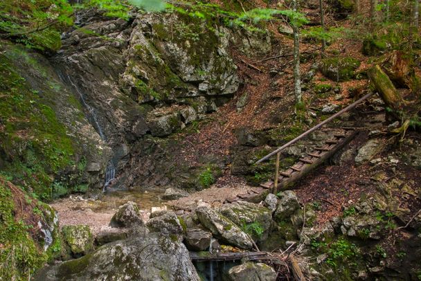 Wanderweg durch die Klamm