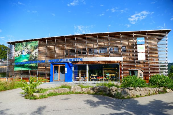 Entdecke den Forschertümpel im Landschaftspark