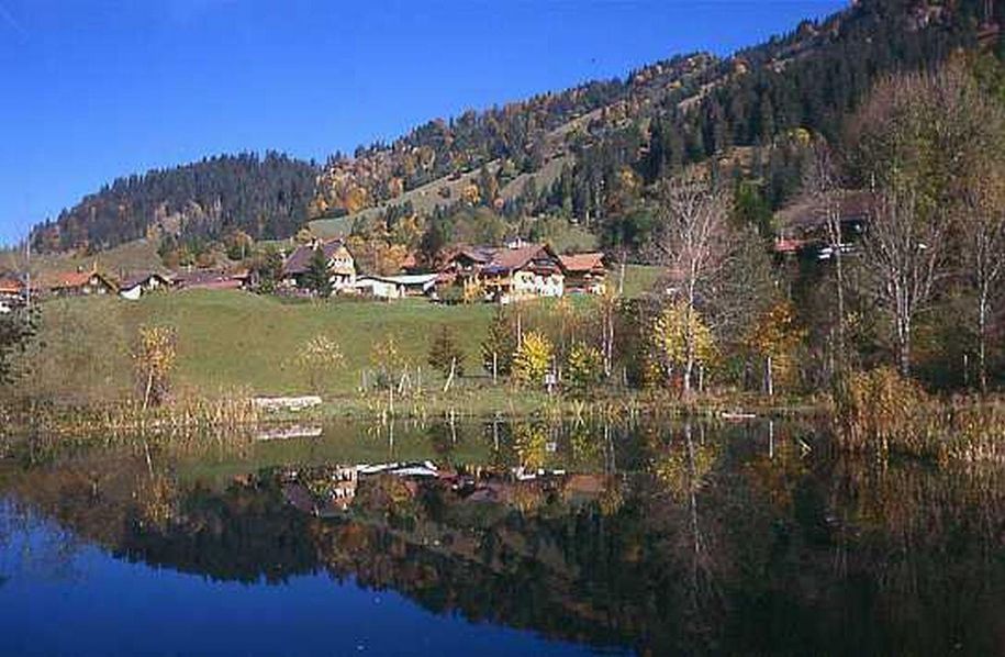 Vom Weiher mit Blick auf unser Haus