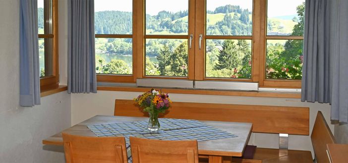 Essplatz Panorama Wohnung Seeblick