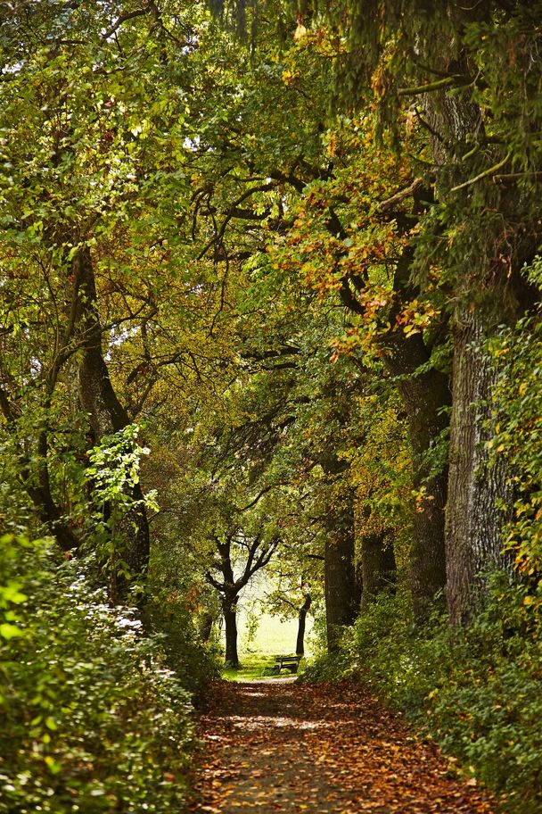 Wanderung zum "Versunkenen Schloss"