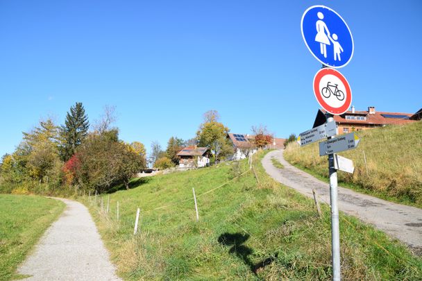 Kiesweg Richtung Forggensee