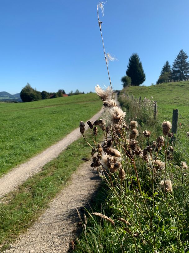 Feldweg zur Fahrstraße nach Benken