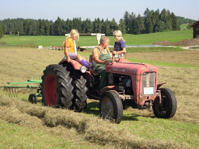 Heuernte im Sommer