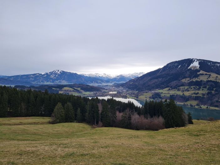 Blick auf den Alpsee